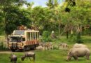 Berencana Liburan Akhir Tahun di Bali, Simak Ini Penawaran dari Taman Safari Bali