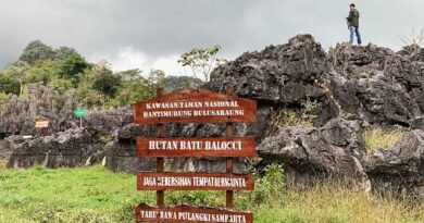 Yuk Berkenalan dengan Desa Wisata Balleangin di Kabupaten Pangkep yang Unik dan Eksotik