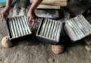 Sagu Lempeng: Kuliner, Tradisi dan Pundi Rezeki