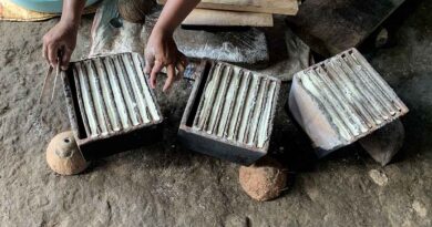 Sagu Lempeng: Kuliner, Tradisi dan Pundi Rezeki