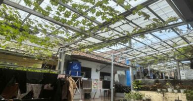 Kompak Menjadi Urban Agriculture, Kini Menjadi Kampung Anggur Munjul