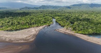 Susur Sungai Pancora Beach: Simfoni Hijau di Ujung Halmahera Barat