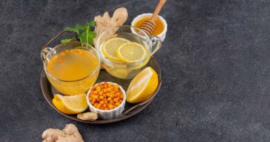 Festival Jamu Nusantara 2026 Dorong Jamu Jadi Gaya Hidup